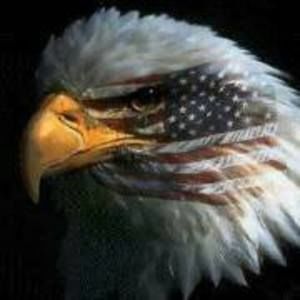 Meet your Posher, Toby